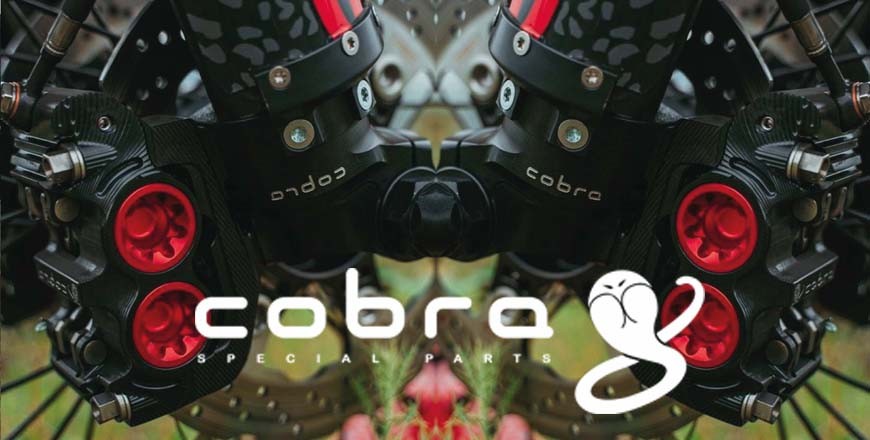 Cobra